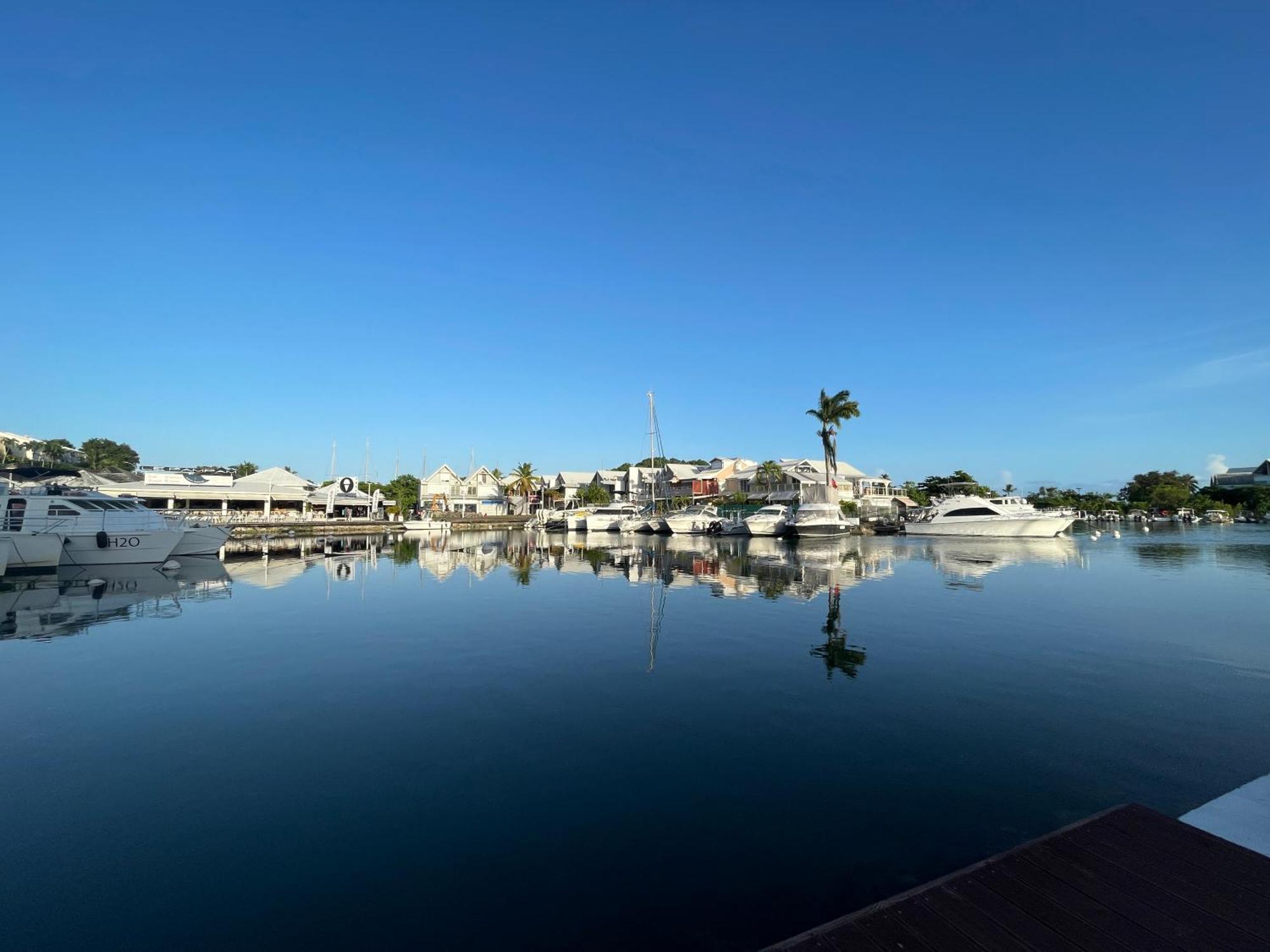 Coeur De Pointe-A-Pitre Appart Terrasse Au Calme Экстерьер фото
